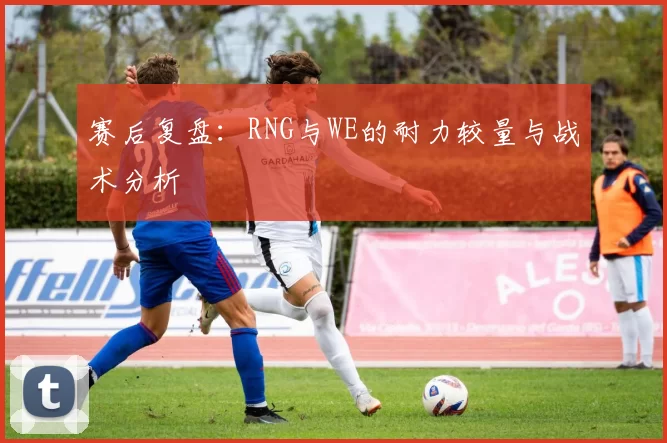 赛后复盘：RNG与WE的耐力较量与战术分析