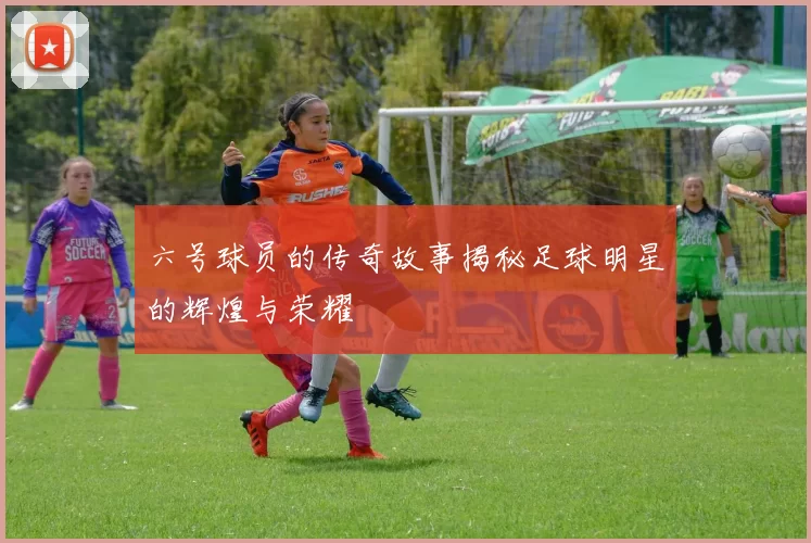 六号球员的传奇故事揭秘足球明星的辉煌与荣耀